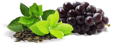 Ingriedients ZenCortex